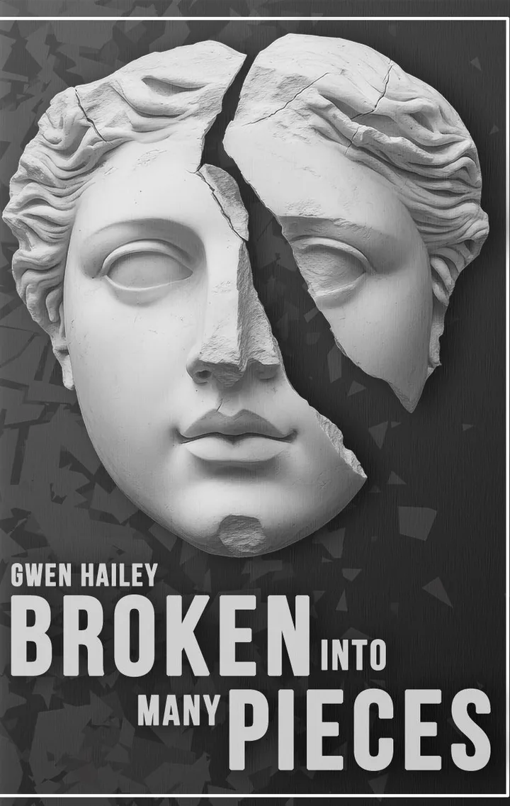 Cover of Broken into Many Pieces